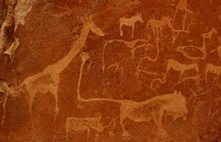 553 Namibia Okt 2006 .JPG